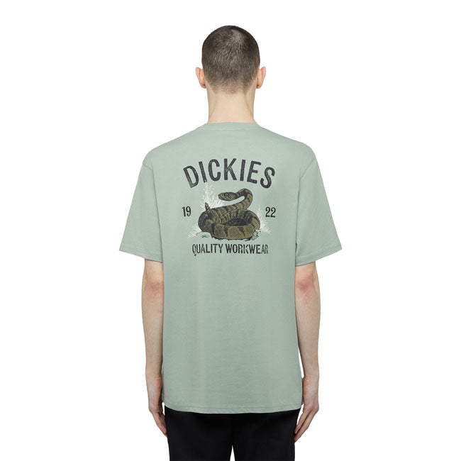 Dickies Schlange T-Shirt