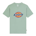 Dickies Icon Logo T-Shirt