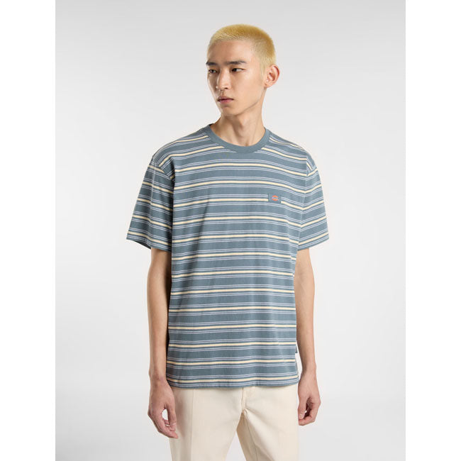 Dickies Lewistown T-Shirt mit Streifen