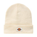 Dickies Gibsland Mütze