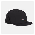Dickies Glendive-Mütze