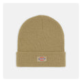 Dickies Gibsland Mütze