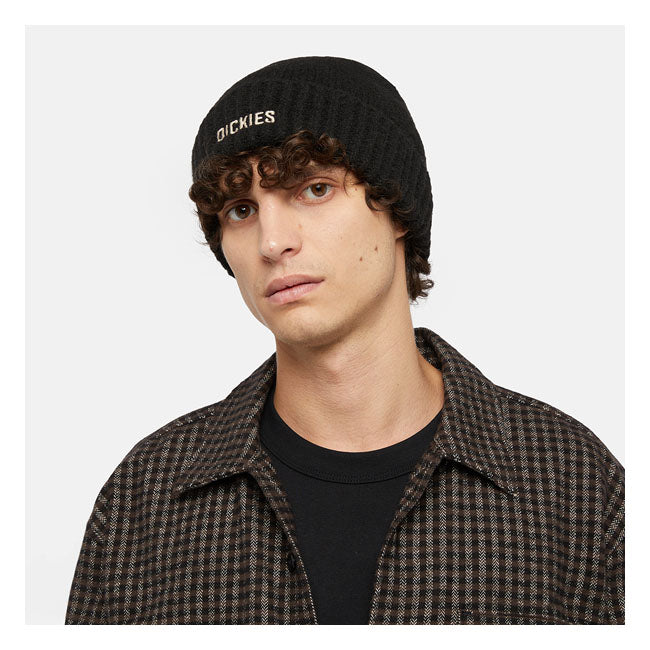 Dickies Harlowtown Mütze