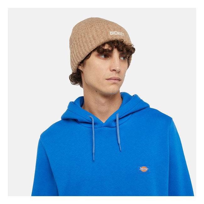 Dickies Harlowtown Mütze