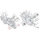 Crankcase Parts Diagram Exploded View for 04-22 Harley Sportster 7) 04-22 XL & XR1200. Engine drainplug. Chrome allen head. Replaces OEM: 45830-48