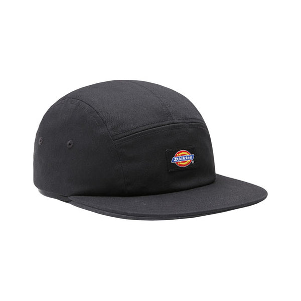 Dickies Albertville AOP Cap Black