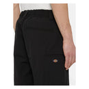 Dickies Fincastle Shorts