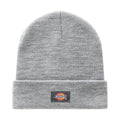 Dickies Gibsland Beanie Grey Melange