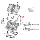 Rocker Box Parts Diagram Exploded View for 04-22 Harley Sportster 6) 01-22 XL & XR1200. Flanged allen bolt.