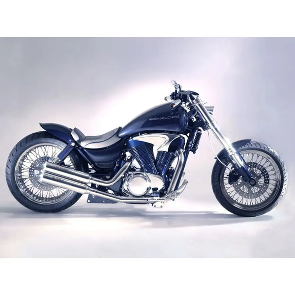 Miller Dandy Euro 2 Auspuffanlage für Suzuki